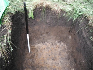 Test Pit 4