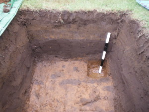 Test Pit 7